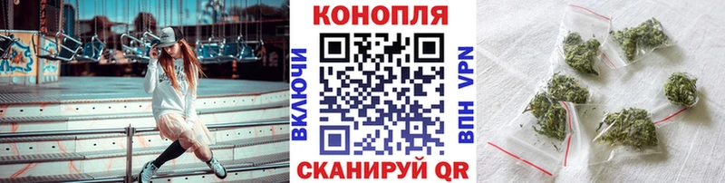Купить  Межгорье  Конопля семена 